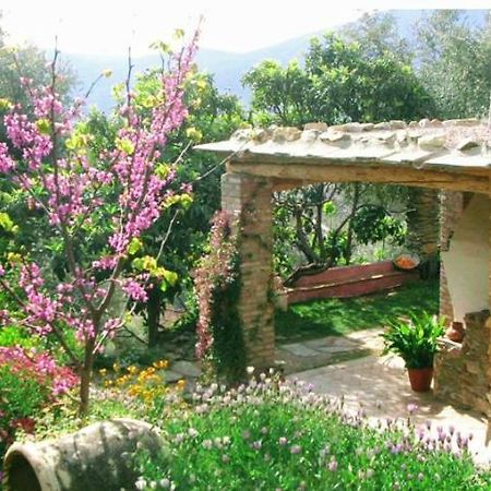 Mountain House Surrounded By Nature Bayacas Екстериор снимка