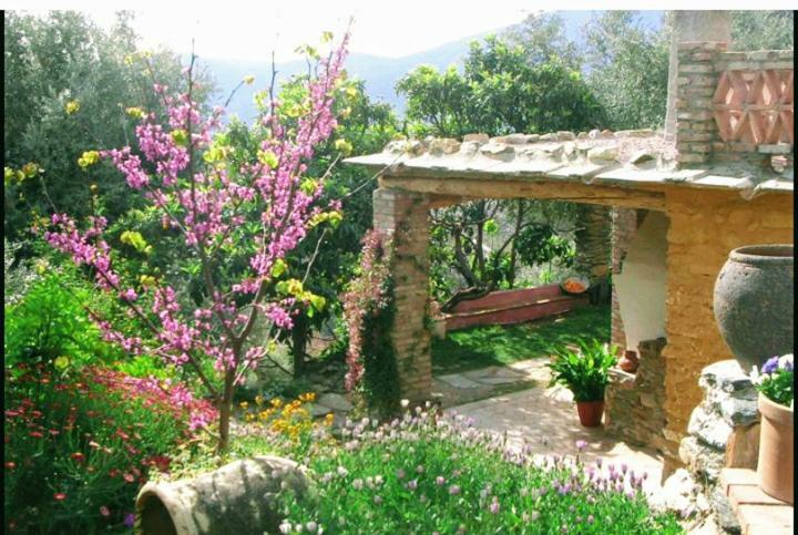 Mountain House Surrounded By Nature Bayacas Екстериор снимка